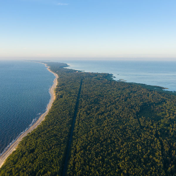 Kuršių nerija