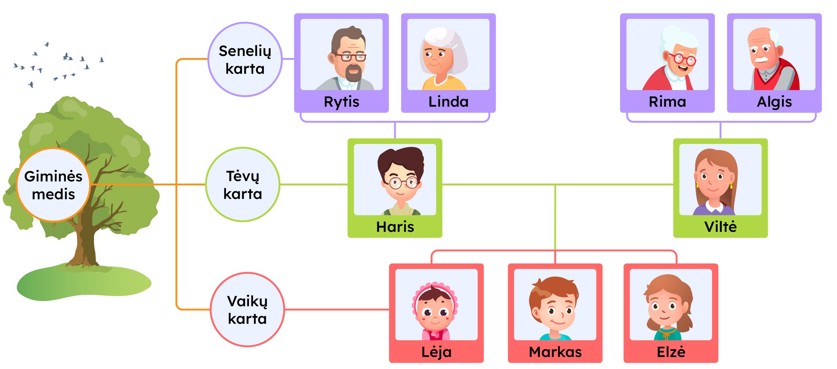 Šeimos giminės medis, kuris išsišakoja į senelių kartą, tėvų kartą, vaikų kartą, su aktyviomis ikonėlėmis, kurias paspaudus iššoksta daugiau informacijos.