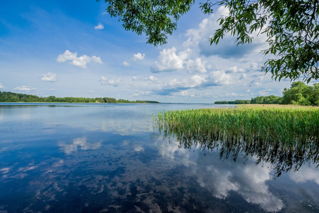 Didžiausio ežero Lietuvoje - Drūkšių nuotrauka