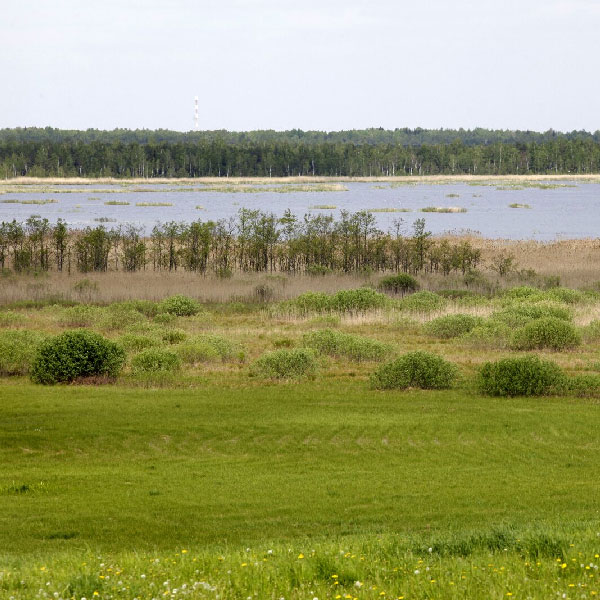 Žuvinto rezervatas.