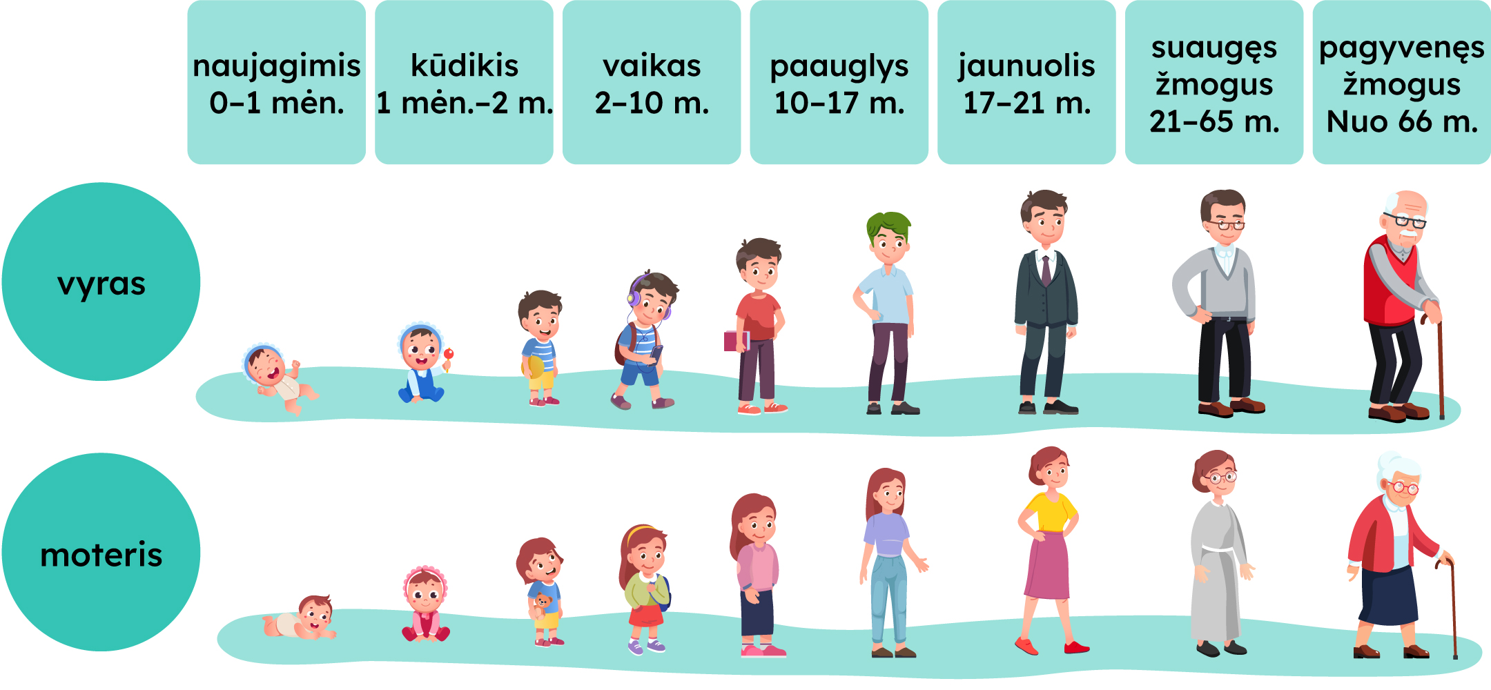 Vyro ir moters amžiaus tarpsniai (naujagimis 0-1mėn., kūdikis 1-2 mėn., vaikas 2-10 m., paauglys 10-17 m., jaunuolis 17-21 m., suaugęs žmogus 21-65 m., pagyvenęs žmogus nuo 65 m.